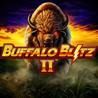 Buffalo Blitz 2